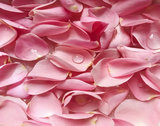 Floral Essential Oils Category