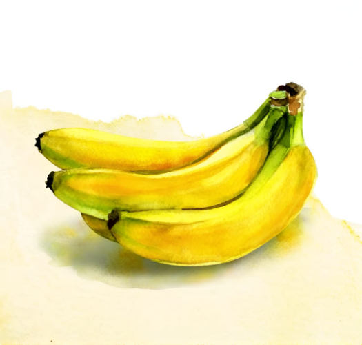 Banana fruit product in powder and sliced form