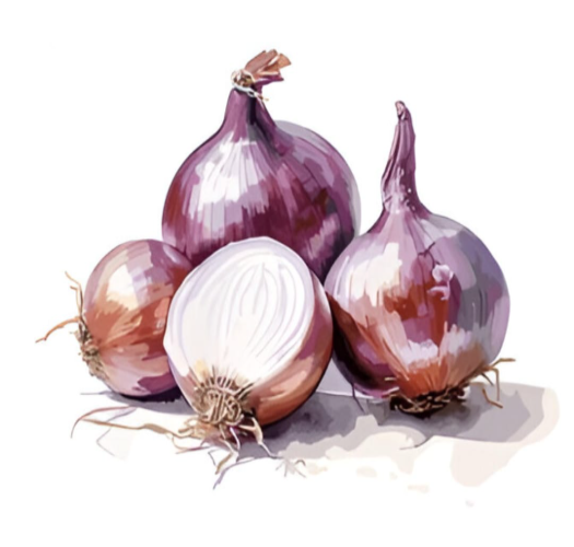 Onion vegetable product in powder, sliced, and chopped forms